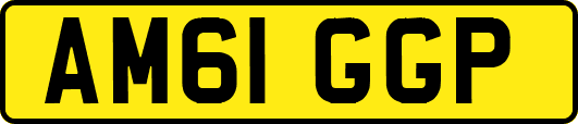 AM61GGP