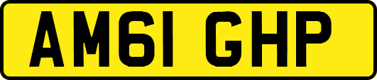 AM61GHP