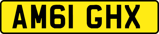 AM61GHX