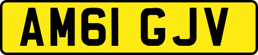 AM61GJV