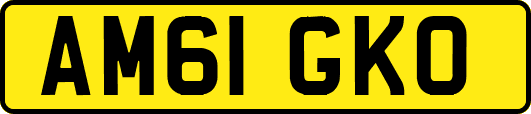 AM61GKO