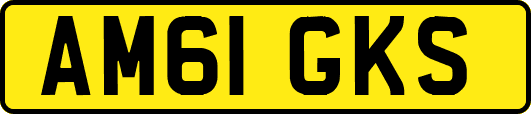 AM61GKS