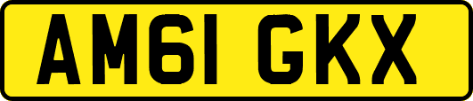 AM61GKX