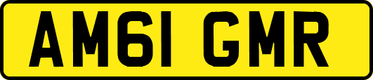 AM61GMR
