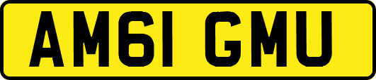 AM61GMU