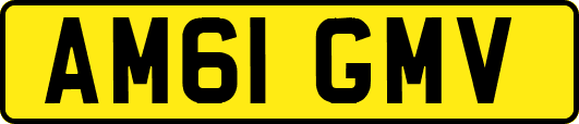 AM61GMV