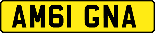 AM61GNA