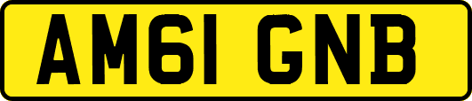 AM61GNB