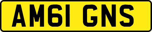 AM61GNS
