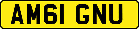 AM61GNU