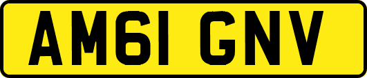 AM61GNV