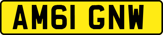 AM61GNW