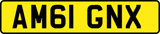 AM61GNX