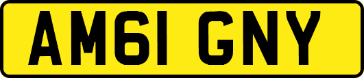 AM61GNY