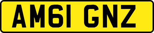 AM61GNZ