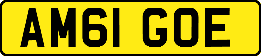 AM61GOE