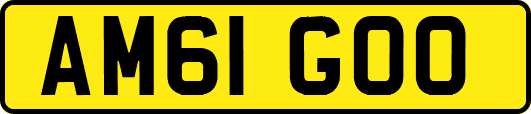 AM61GOO