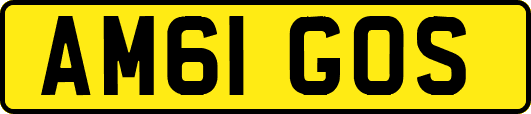 AM61GOS