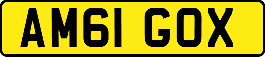 AM61GOX