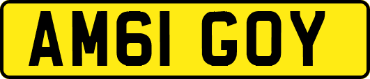 AM61GOY