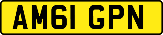 AM61GPN