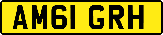 AM61GRH