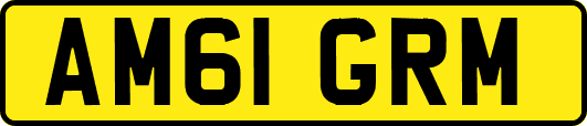 AM61GRM