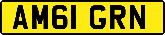 AM61GRN