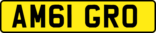 AM61GRO
