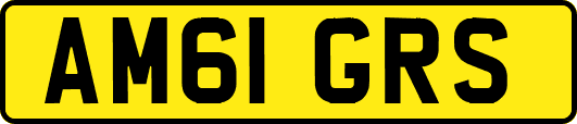 AM61GRS