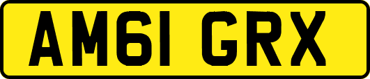 AM61GRX