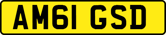 AM61GSD