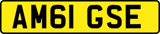 AM61GSE