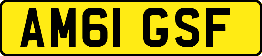 AM61GSF