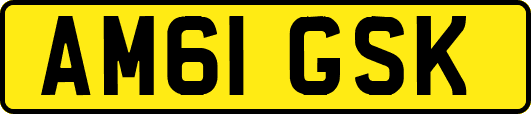 AM61GSK