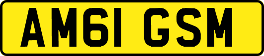 AM61GSM