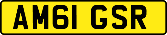 AM61GSR