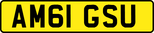 AM61GSU