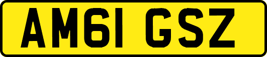AM61GSZ