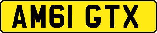 AM61GTX