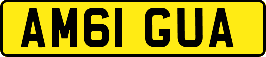 AM61GUA