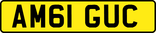 AM61GUC