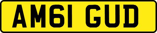 AM61GUD