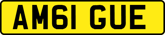 AM61GUE