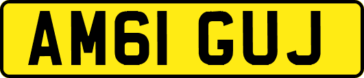 AM61GUJ