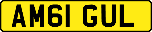 AM61GUL