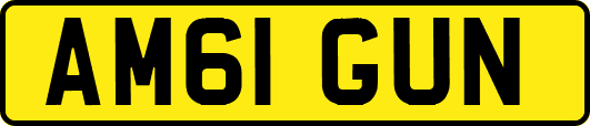 AM61GUN