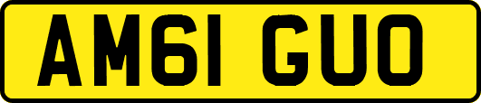 AM61GUO