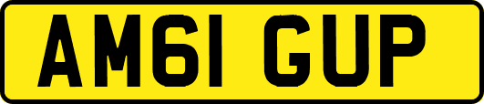 AM61GUP