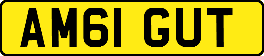 AM61GUT